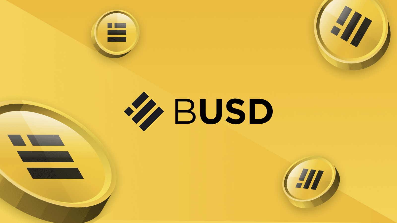 busd cointurk