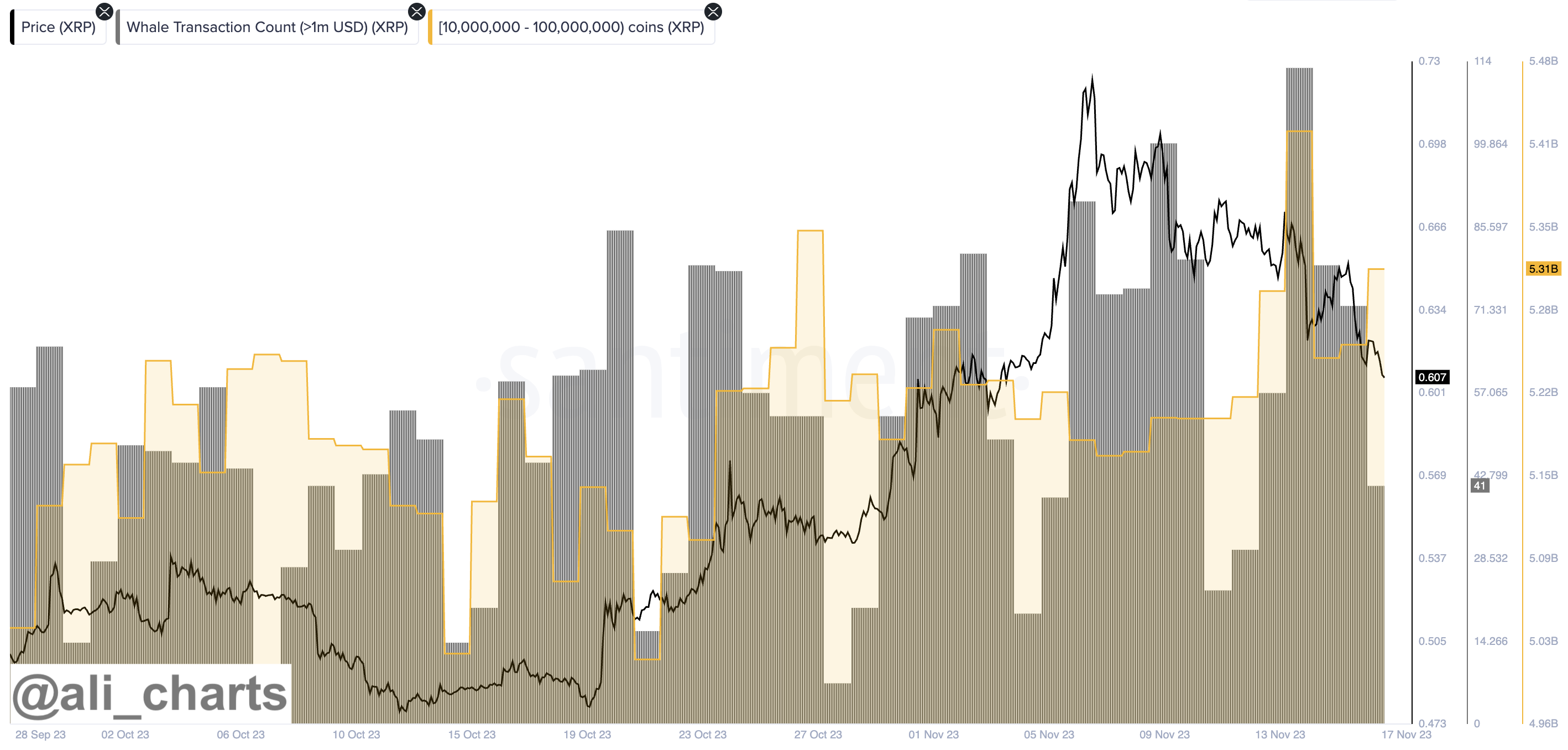 XRP ali martinez cointurk