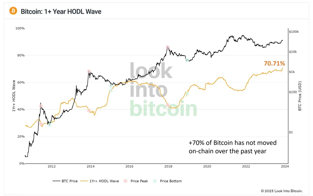 hodl bitcoin cointurk