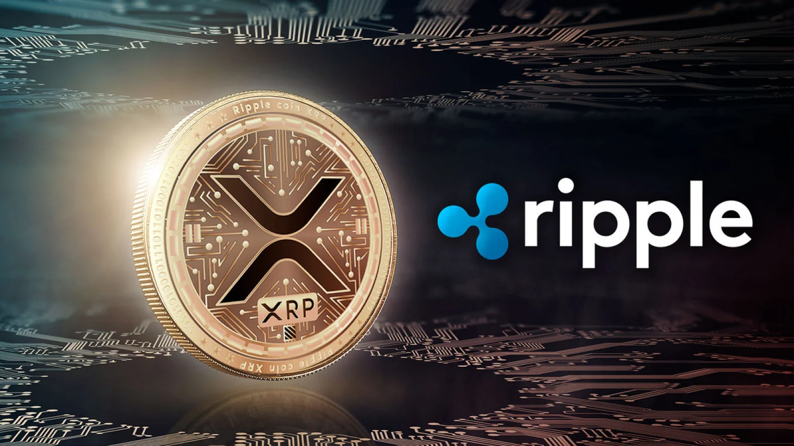 kripto para xrp cointurk