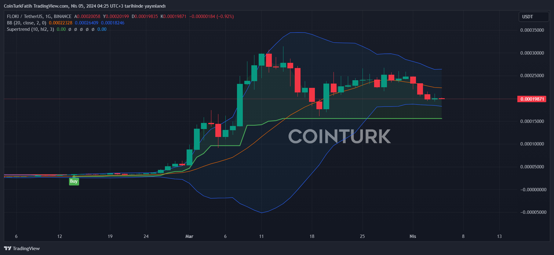 FLOKI Coin Commentary