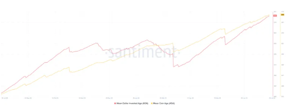 Solana protocol rankings