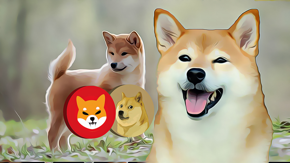 Shiba Inu Ekibi ‘Shib The Metaverse’ Lansmanı İçin Büyük Güncellemeyi Paylaştı