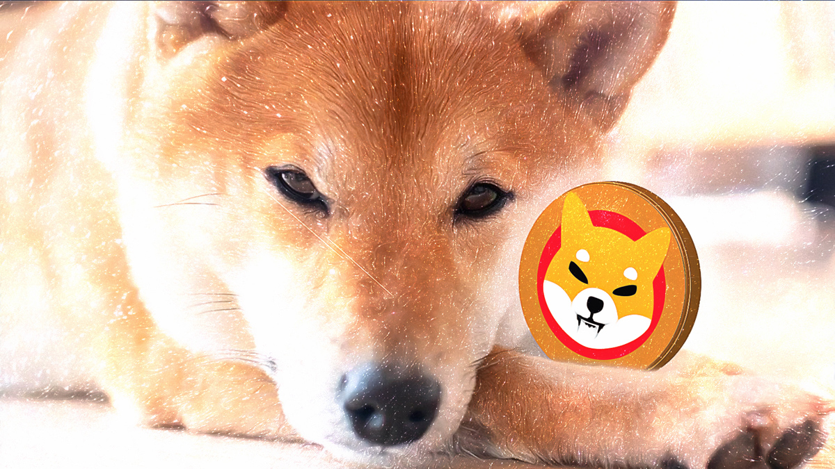 Shiba Inu (SHIB) Son 24 Saatte Yüzde 23 Yükseldi! Sırada Ne Var?