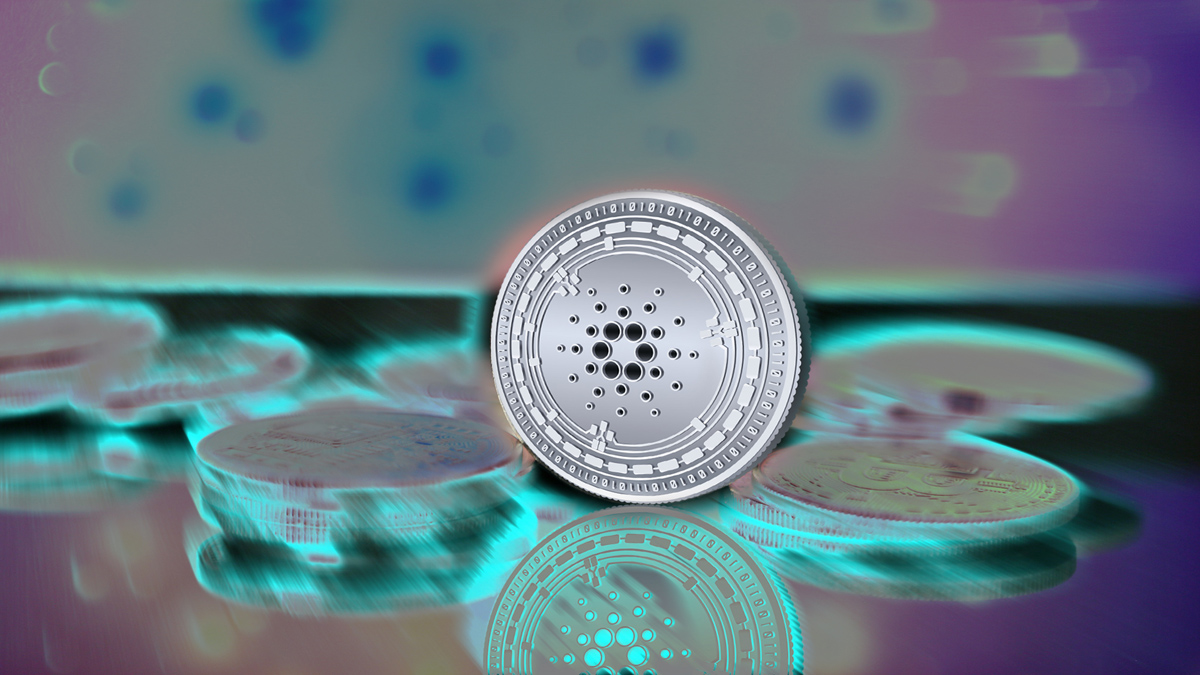 Balinalar Cardano'dan Çekiliyor! ADA Coin İçin Büyük Tehlike - COINTURK